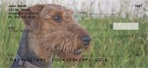 Airedale Terriers