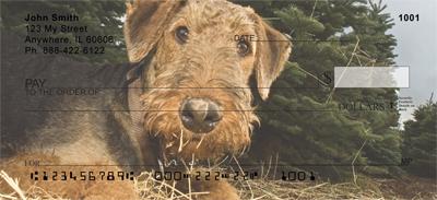 Airedale Terriers