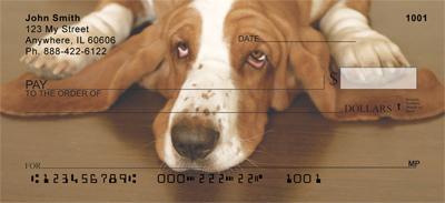 Basset Hounds