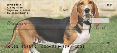 Basset Hounds