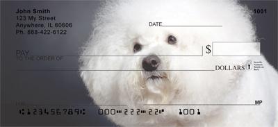 Bichon Frises