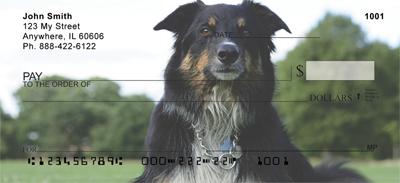 Border Collies