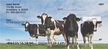 Cows