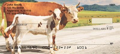 Cows