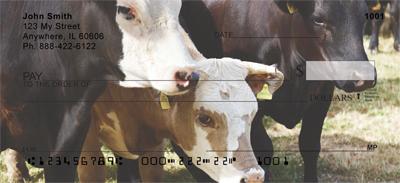 Cows