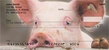 Pigs