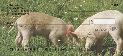 Pigs