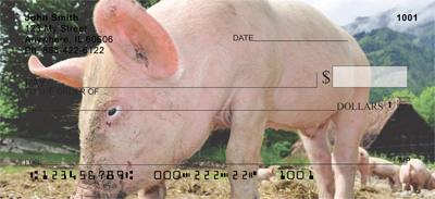 Pigs