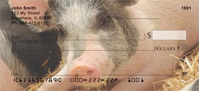 Pigs