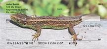 Lizards
