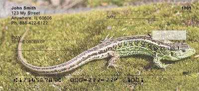 Lizards