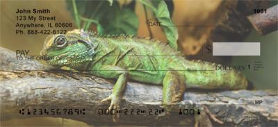 Lizards