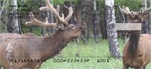 Elk
