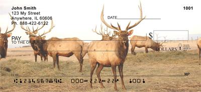 Elk