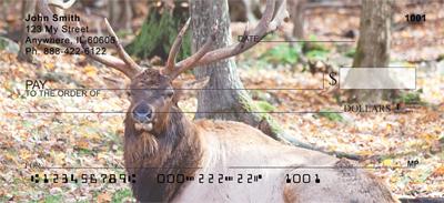 Elk