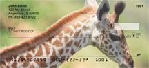 Giraffes