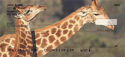 Giraffes
