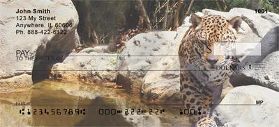 Leopards