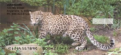 Leopards