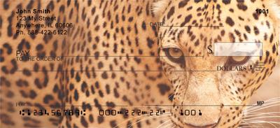 Leopards