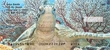 Turtles