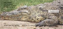 Gators and Crocs