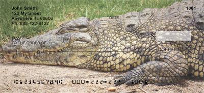 Gators and Crocs