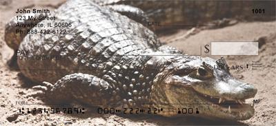 Gators and Crocs