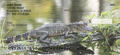 Gators and Crocs