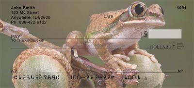 Tree Frogs