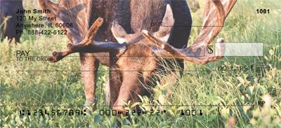 Moose