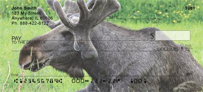 Moose