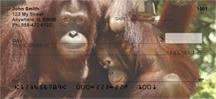 Primates