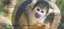 Primates
