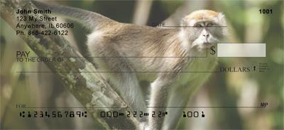 Primates