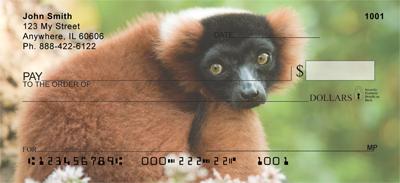 Primates