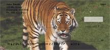 Tigers