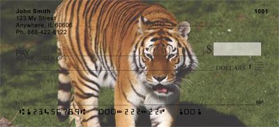 Tigers