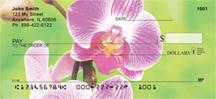 Orchids
