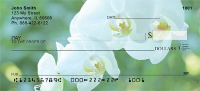 Orchids