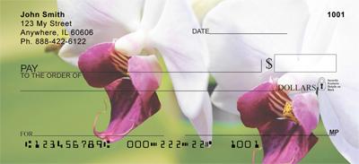 Orchids