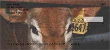 Stop Animal Cruelty