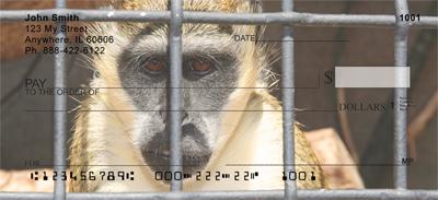 Stop Animal Cruelty