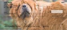 Chow Chow