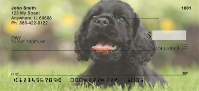 Cocker Spaniels