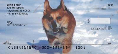 Corgis