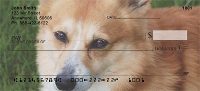 Corgis