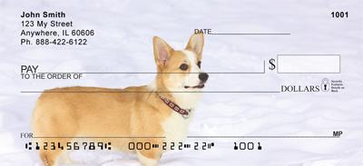 Corgis