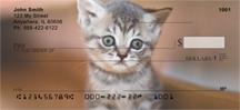 Adopt a Cat