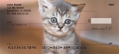 Adopt a Cat